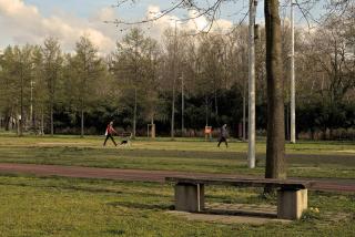 Parc urbain et promeneurs de Montelune