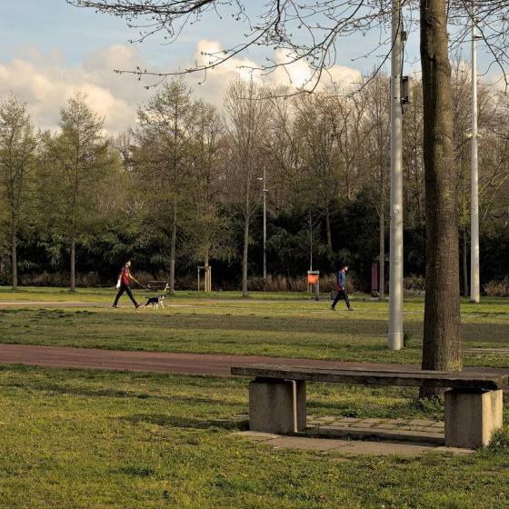 Parc urbain et promeneurs de Montelune