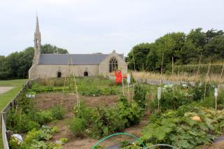 Jardin partagé de Montelune